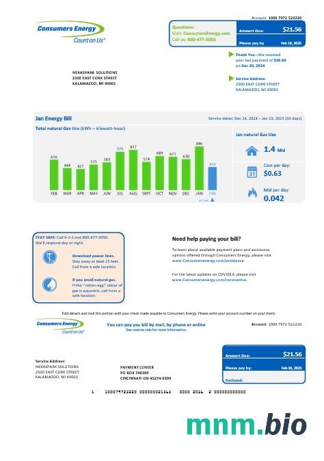 USA Michigan Consumers Energy rachunek za usługi komunalne szablon w formacie Word i PDF